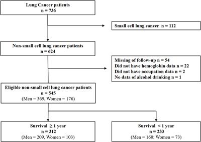 Development of a Survival Prognostic Model for Non-small Cell Lung Cancer